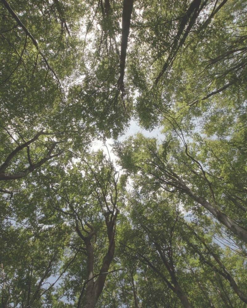 Environnement & ESS : le Barreau de Bordeaux poursuit son cycle dédié à l’ESS.