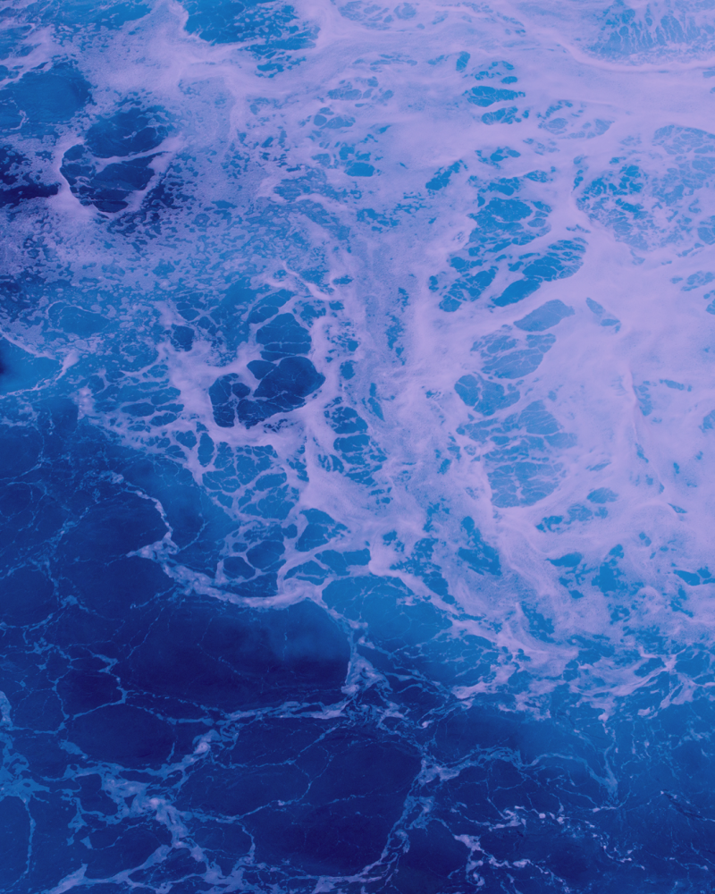 Les avocats du Barreau de Bordeaux au cœur des enjeux maritimes